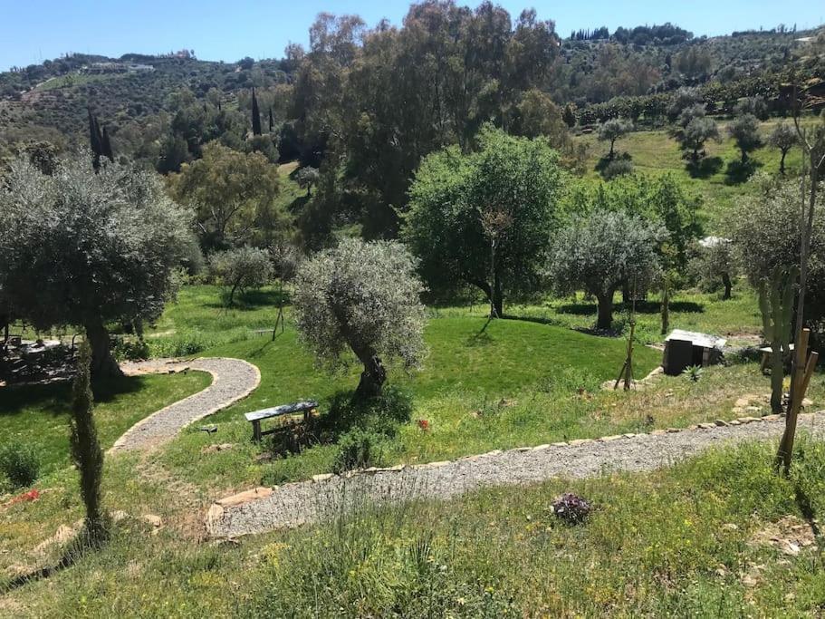 Penthouse Apartment, Cortijo Fruitful Hills Málaga Dış mekan fotoğraf