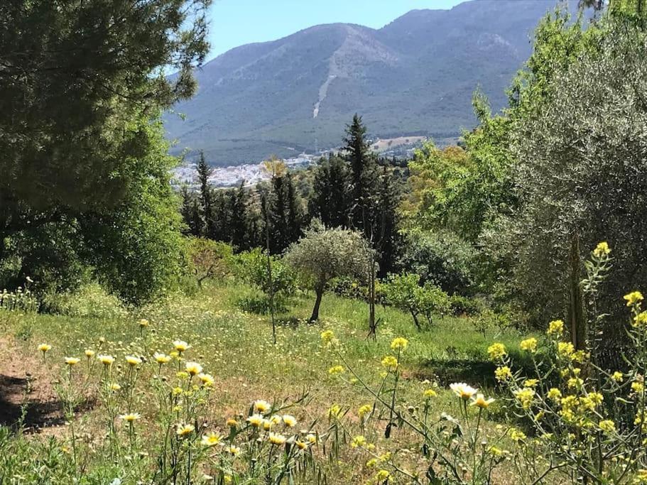 Penthouse Apartment, Cortijo Fruitful Hills Málaga Dış mekan fotoğraf