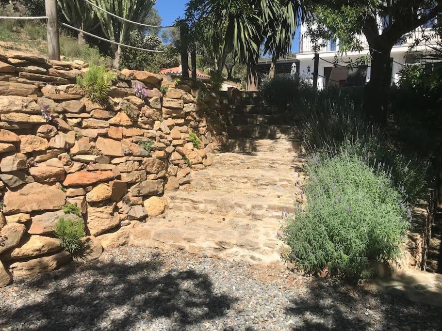Penthouse Apartment, Cortijo Fruitful Hills Málaga Dış mekan fotoğraf