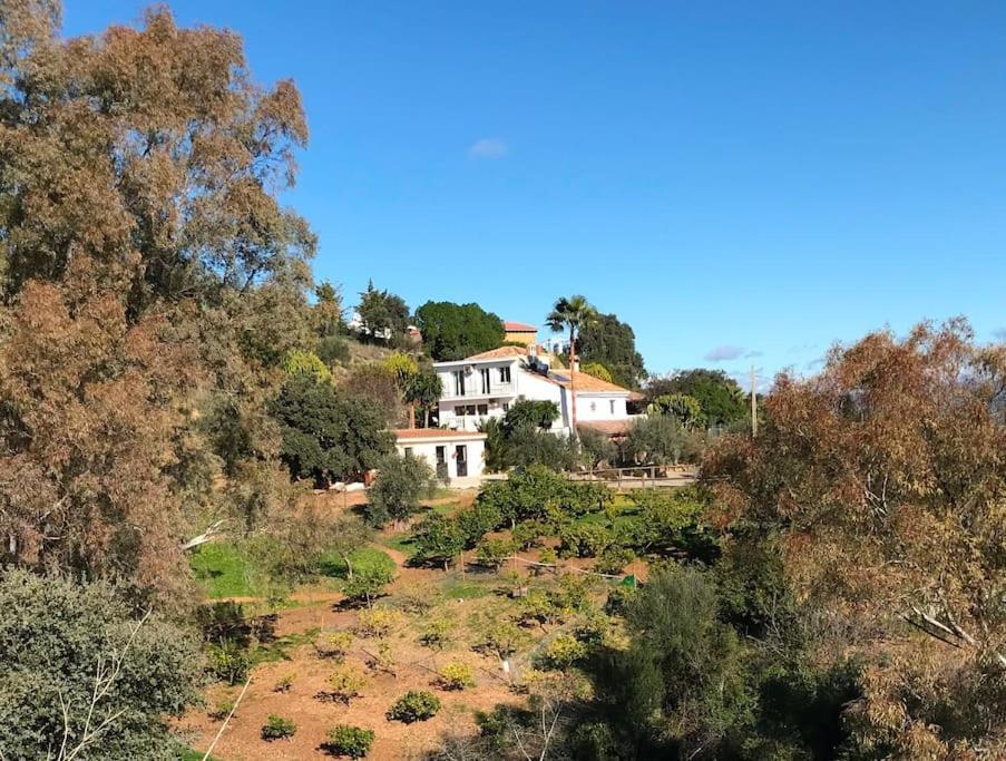 Penthouse Apartment, Cortijo Fruitful Hills Málaga Dış mekan fotoğraf